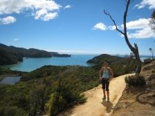 10 Wanderung zurück nach Marahau auf dem Abel Tasman Coast Trek